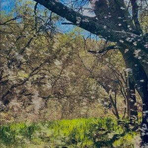 Meet your Posher, Eliana